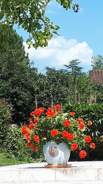 Le Mazet D'Olt Bed & Breakfast Altillac ภายนอก รูปภาพ