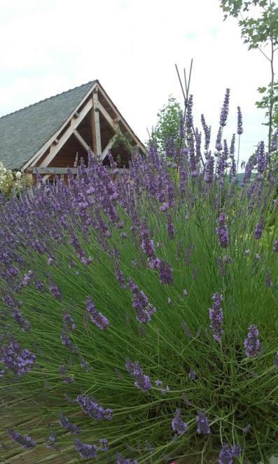 Le Mazet D'Olt Bed & Breakfast Altillac ภายนอก รูปภาพ